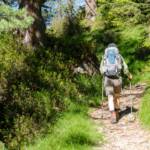 Wanderer auf dem Weg, Wanderer, Wanderrucksack, Wanderstock, Wanderung, Wanderweg, sentiero, wandern