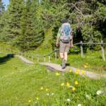 Wandern auf Holzstegen im Feuchtgebiet am Wanderweg 36A, Almmatte, Almwiese, Almwiesen, Alpe, Blumenwiese, Dotterblume, Feuchtgebiet, Steg, Wanderer, Wandersteg, Wanderweg, Wiese, sentiero, wandern