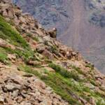 Geröllhalde, Block, Brocken, Fels, Felsblock, Felsbrocken, Felsen, Geröll, Geröllhalde, Gestein, Gesteinsbrocken, Halde, Markierung, Pfad, Wandermarkierung, Wanderweg, Wanderwegmarkierung, Weg, Wegmarkierung, cammino, path, sentiero, way