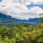 Südtiroler Unterland, Auer, Berg, Berge, Eiche, Eichen, Eichenbaum, Mitterberg, Quercus, Südtiroler Unterland, Unterland