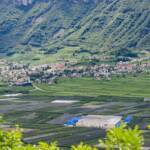 Tramin, Termeno, Tramin