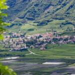 Tramin, Anbauflächen, Obstplantage, Rebflächen, Termeno, Tramin, Weinanbaugebiet, Weinbaugebiet, Weinberg, Weinberge, Weinlandschaft, wine terroir, wineyards