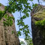 Eiche im Spalt, Bedrängnis, Eiche, Eichen, Eichenbaum, Engstelle, Fels, Felsen, Felsenge, Quercus