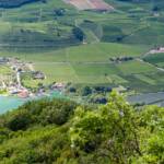 Weinberge am Kalterer See, links das Lido Kalterer See, Caldaro, Gewässer, Kalterer See, Kalterersee, Kaltern, Kellerei Manincor, Lido, Manincor, See, St. Josef, St. Josef am See, Weinberg, Weinberge, lago, lake, vigna, vigneto, vineyard
