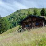Almhaus am Pfunderer Höhenweg, Alm, Almenlandschaft, Almhaus, Almhütte, Almlandschaft, Matte, Pfunderer Almen, Pfunderer Höhenweg, Pfunders, Weide, alpine hut, baita, chalet, mountain hut
