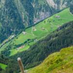 Pfunderer Almen, Pfunderer Almen, Pfunderer Berge, Pfunderer Tal, Pfunders, Pustertal, Vintl, Wiese