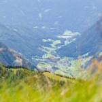 Pfunderer Tal, Pfunderer Tal, Pfunders, Wiese