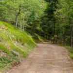 XXXXXXXXX, E5, Europäischer Fernwanderweg, Europäischer Höhenwanderweg, Europäischer Höhenweg, Europäischer Wanderweg, Forststraße, Forstweg, Waldweg, Wanderweg, Weg, cammino, sentiero, way