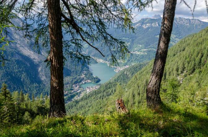 Lärchenwäldchen mit Blick auf den Alleghe See