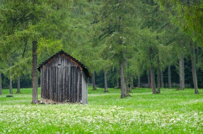 Lärchenwiesen bei Bad Moos