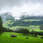 Nebel über Sexten, Nebel, Sesto, Sexten, Wald, Wettererscheinung, Wettererscheinungen, Wiese