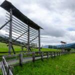 Auf der Almwiese, Alm, Almmatte, Almwiese, Almwiesen, Alpe, Matte, Weide, Weidezaun, Wiese, Wolke, Wolken, Wolkenhimmel, Zaun