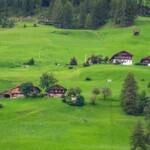 Bauernhöfe Sexten, Bauerngehöft, Bauernhaus, Bauernhof, Gehöft, Gehöfte, Hof, Hofstelle, Sesto, Sexten, Wald, Wiese, cascina, farm, farm building, farmstead, fattoria, grange, homestead, masseria