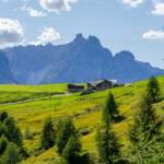Zur Klammbachhütte am Karnischen Höhenweg, Alm, Almhaus, Almhütte, Berghaus, Dolomiti di Sesto, Holzhaus, Klammbachhütte, Matte, Schutzhaus, Schutzhütte, Sextner Dolomiten, Weide, alpine hut, baita, chalet, mountain hut, refuge, rifugio