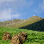 Heuhaufen, Ernte, Gras, Gräser, Heu, Heuhaufen, erba, erbe