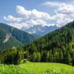 Sextner Dolomiten, Alm, Almmatte, Almwiese, Almwiesen, Alpe, Berg, Berge, Cima Tre Scarperi, Cima Tre Scarpieri, Dolomiti di Sesto, Dreischusterspitze, Haunold, Haunold Gruppe, Lastron dei Scarperi, Matte, Monte Baranci, Rocca dei Baranci, Sextner Dolomiten, Weide