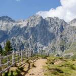 Wandertour Staller Sattel, Grenzgebiet, Holzzaun, Staller Sattel, Stallersattel, Wanderweg, Weg, Zaun, cammino, passo stalle, sentiero, way