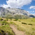 Bergwandern im Grenzgebiet zwischen Italien (Südtirol) und Österreich (Osttirol) am Staller Sattel, Antholzer Tal, Grenzgebiet, Große Ohrenspitze, Hochgall, Holzzaun, Staller Sattel, Wanderweg, Weg, Wildgall, Zaun