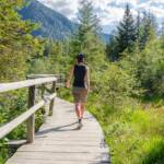 Lehrpfad auf Stegen am Antholzer See, Antholz, Antholzer Tal, Erlebniswanderweg, Erlebnisweg, Geländer, Lehrpfad, Lehrweg, Naturerlebnisweg, Naturlehrpfad, Steg, Wanderer, Wanderweg, Weg, cammino, sentiero, wandern, way