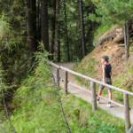 Rundweg Antholzer See