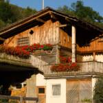 Bauerngehöft, Bauerngehöft, Bauernhaus, Bauernhof, Blumenschmuck, Gehöft, Gehöfte, Hof, Hofstelle, Holzhaus, Wohnlichkeit, cascina, farm, farm building, farmstead, fattoria, grange, homestead, masseria