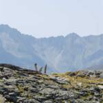 Berglandschaft, Gebirge, Gebirgslandschaft