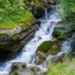 Scherzbach, Bach, Fließgewässer, Gewässer, Scherzbach