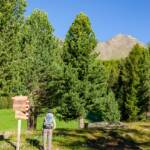 Cima di Lasa, Laaser Spitze, Orgelspitze, Wanderer, Wegweiser