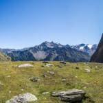 Alm, Martell, Martelltal, Matte, Ortler, Ortlergruppe, Weide, Wiese,Schludertal