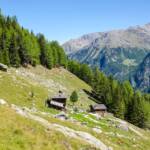 Alm im Martelltal, Alm, Almenlandschaft, Almhaus, Almhütte, Almlandschaft, Alto Adige, Martell, Martelltal, Matte, Schluder Alm, South Tyrol, Sudtirol, Sudtirolo, Suedtirol, Südtirol, Weide, alpine hut, baita, chalet, mountain hut