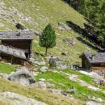 Schluderalm, Alm, Almenlandschaft, Almhaus, Almhütte, Almlandschaft, Alto Adige, Martell, Martelltal, Matte, Schluder Alm, South Tyrol, Sudtirol, Sudtirolo, Suedtirol, Südtirol, Weide, alpine hut, baita, chalet, mountain hut