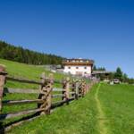 Schluderalm, Holzzaun, Martell, Martelltal, Pfad, Stallwies, Stallwieshof, Weidezaun, Wiesenweg, Zaun, path