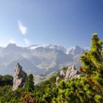 Mit Blick zur Marmolata, Berg, Berge, Berglandschaft, Dolomiten, Gebirge, Gebirgslandschaft, Gran Vernel, Latsche, Latschen, Latschenkiefer, Marmolada, Marmolata, Punta Penia, Punta Rocca