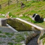 Kneipp-Becken, Erlebniswanderweg, Erlebnisweg, Kneipp, Kneipp-Becken, Kneipp-Parcours, Lehrpfad, Lehrweg, Naturerlebnisweg, Naturlehrpfad, Proveis, Themenweg, Wasser, Wasserbecken, kneippen