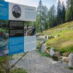 Kneipp Kuren Infotafel, Bach, Erlebniswanderweg, Erlebnisweg, Infotafel, Kneipp, Kneipp-Parcours, Lehrpfad, Lehrweg, Naturerlebnisweg, Naturlehrpfad, Proveis, Themenweg, kneippen