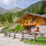 Untere Kesselalm, Alm, Almhütte, Ausschank, Einhalt, Erlebniswanderweg, Erlebnisweg, Kesselalm, Lehrpfad, Lehrweg, Matte, Naturerlebnisweg, Naturlehrpfad, Pause, Proveis, Rast, Untere Kesselalm, Weide