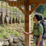 Anni, Alto Adige, Anni, Erlebniswanderweg, Erlebnisweg, Glockenspiel, Kesselalm, Kuhglocke, Lehrpfad, Lehrweg, Naturerlebnisweg, Naturlehrpfad, Proveis, South Tyrol, Sudtirol, Sudtirolo, Suedtirol, Südtirol, Themenweg