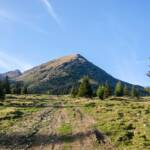 Kleiner Kornigl, Berg, Berge, Deutschnonsberg, Kleiner Kornigl, Nonsberge, Nonsberggruppe, Proveis, Weg, cammino, way
