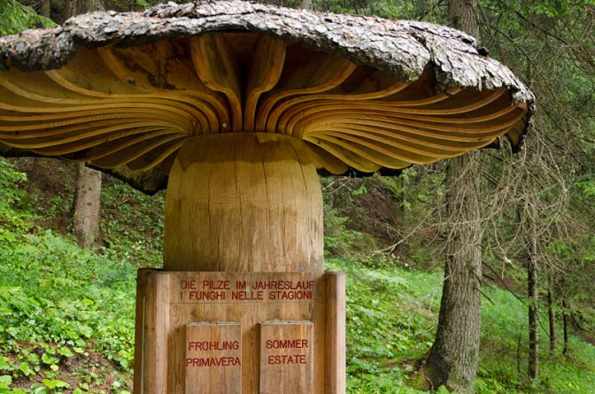 Vom Fischleintal zurück nach Sexten auf dem südlichen Teil des Sextner Rundweg.