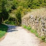 Forstweg, Bresimotal, Catena delle Maddalene, Forststraße, Forstweg, Ilmenkamm, Val di Bresimo, Valle di Bresimo, Waldweg, Wanderweg, Weg, cammino, sentiero, way