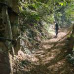 Wanderweg, sentiero, wandern