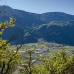 Andrian an der Etsch