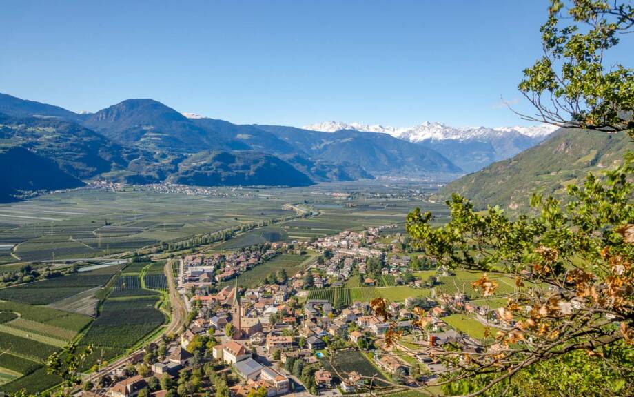 Etschtal, Terlan, Texelgruppe