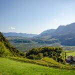 Appiano, Eppan, Eppan an der Weinstraße, Etschtal, Montigl, S. Michele, St. Michael, Terlan