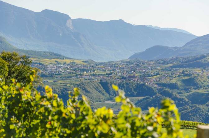 Blick von Montigl über Terlan nach Eppan an der Weinstraße.