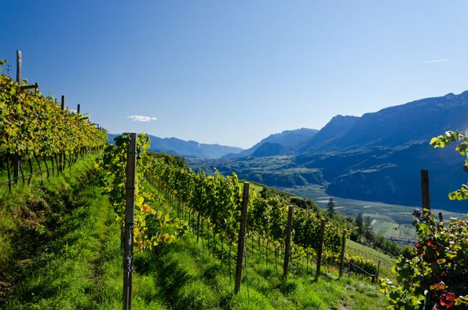 Blick von Montigl über Terlan nach Eppan an der Weinstraße. Rechts im Schatten die Drei Burgen.