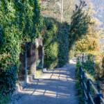 Spaziergang auf der Gilfpromenade, Gilfpromenade, Palmen, Promenade, Spaziergang, Spaziergänger, Spazierweg, Wanderweg, Weg, cammino, palm tree, palma, sentiero, way