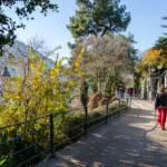 Tappeinerweg mit Mutkopf, Berg, Berge, Mutkopf, Promenade, Spaziergänger, Spazierweg, Tappeinerpromenade, Tappeinerweg, Wanderweg, Weg, cammino, passeggiata Tappeiner, sentiero, way