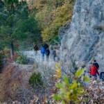 Auf der Tappeinerpromenade, Spaziergang, Spaziergänger, Spazierweg, Tappeinerpromenade, Tappeinerweg, Wanderweg, Weg, cammino, passeggiata Tappeiner, sentiero, way
