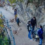 Lisa, Anni, Irene, Lisa, Tappeinerpromenade, Tappeinerweg, Uwe, passeggiata Tappeiner